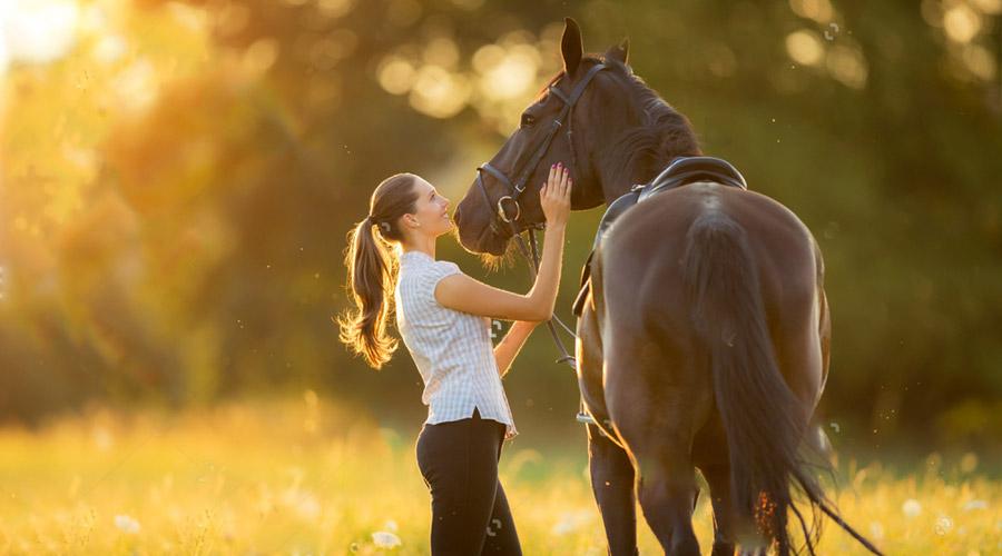 paarden-producten-slide-de-bondj